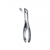 Extracting Forceps American Pattern